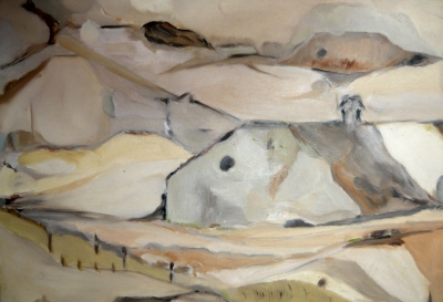 Le premier dans le canton de Vaud  70x50